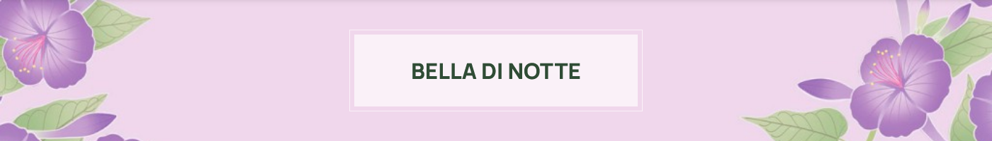 Bella di Notte